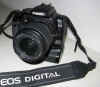 canon_slr_400_d_2059inidia.JPG (51933 Byte)