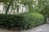 hecke201304614_a.jpg (277148 Byte)